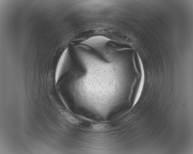 X0000080720461200701021058