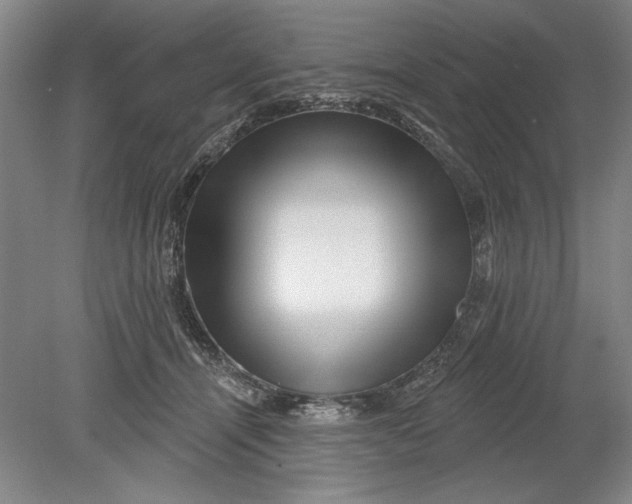 X0000080720464200701021059