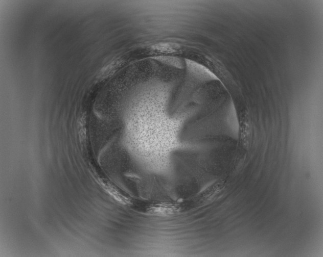 X0000080720466200701021059