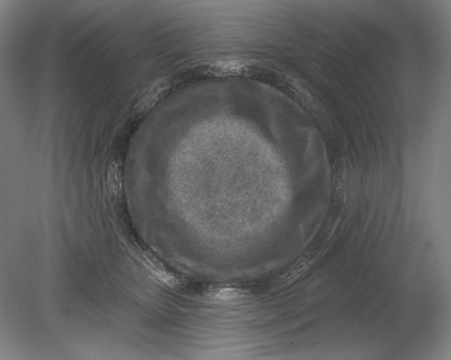 X0000080720467200701021059