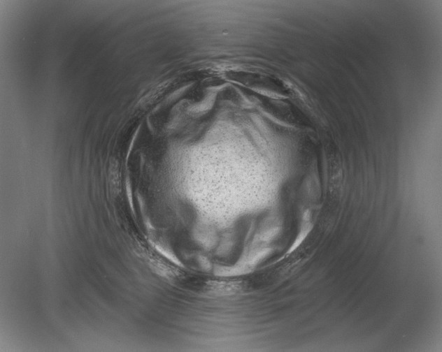 X0000080720469200701021059