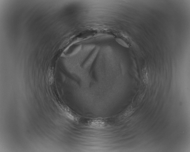 X0000080720471200701021059