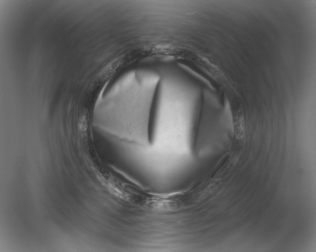 X0000080720472200701021059