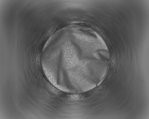 X0000080720473200701021059