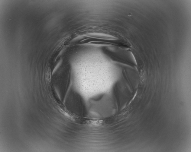 X0000080720474200701021059