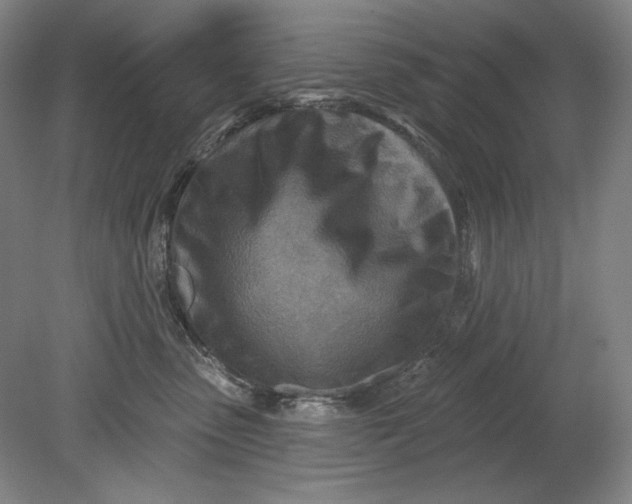 X0000080720475200701021059