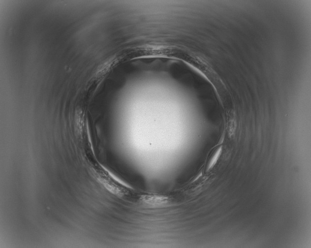 X0000080720476200701021059