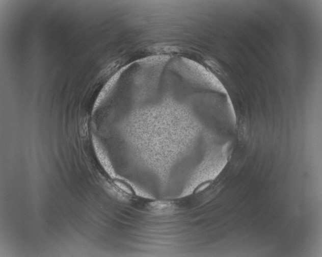 X0000080720477200701021059