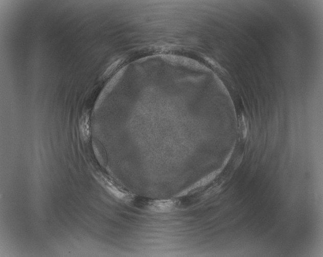 X0000080720479200701021059