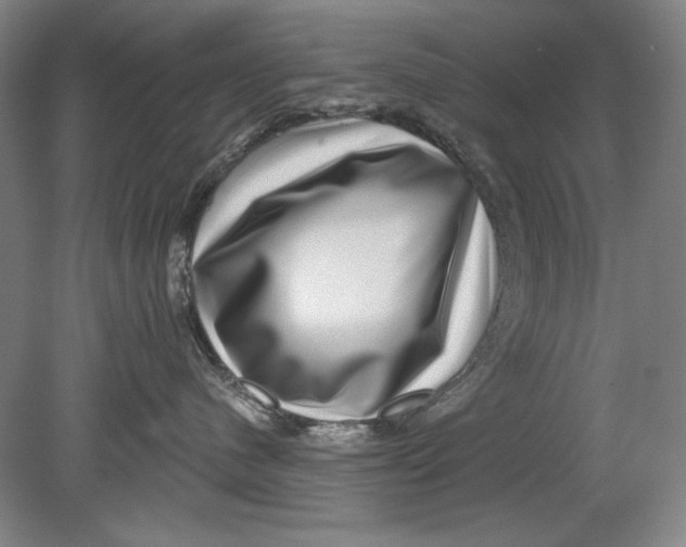 X0000080720480200701021059