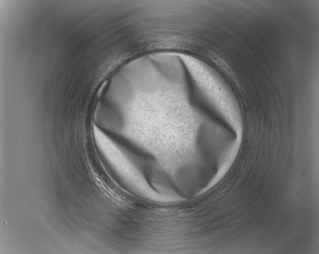 X0000080720482200701021058