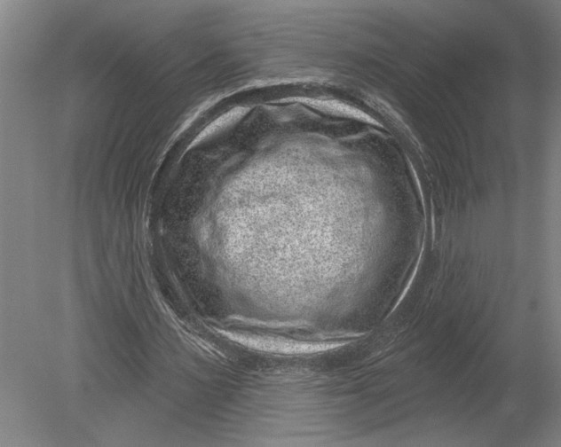 X0000080720483200701021058