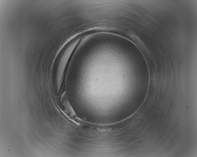 X0000080720484200701021058