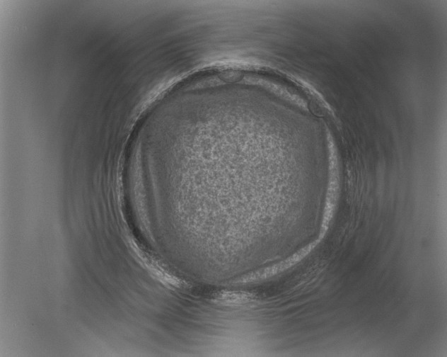 X0000080720487200701021058