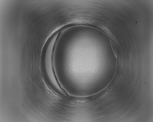 X0000080720488200701021058