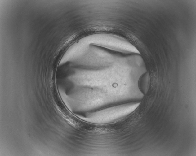 X0000080720490200701021058