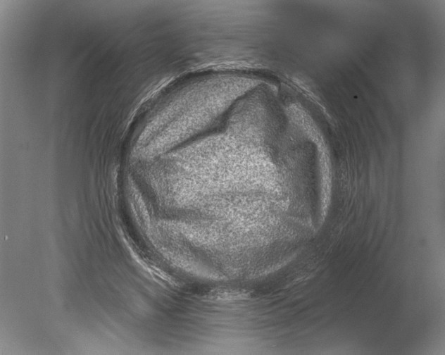 X0000080720491200701021058