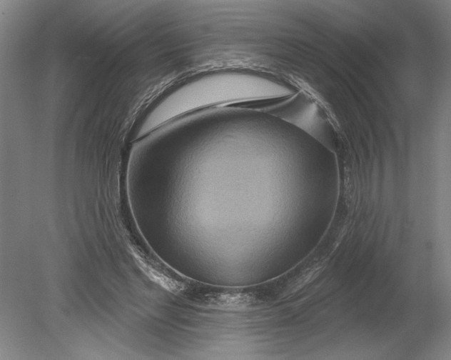 X0000080720493200701021058