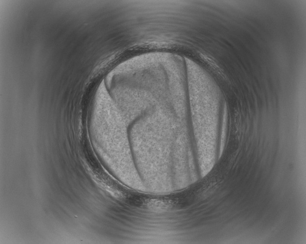 X0000080720494200701021058