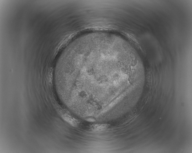 X0000080720495200701021058