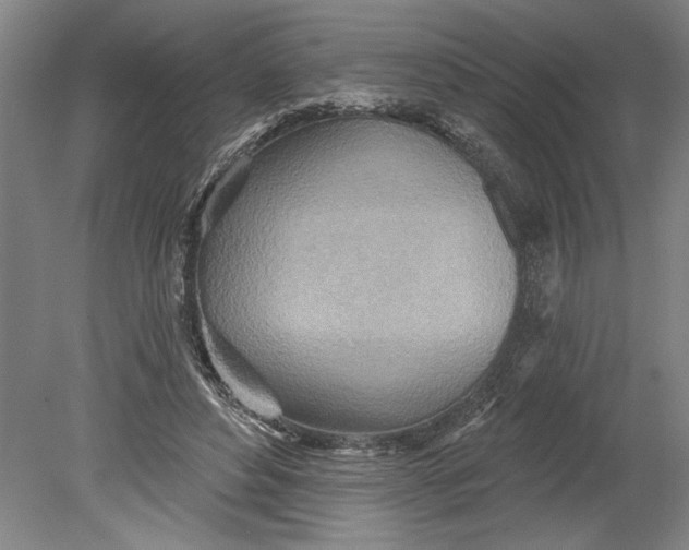 X0000080720496200701021058