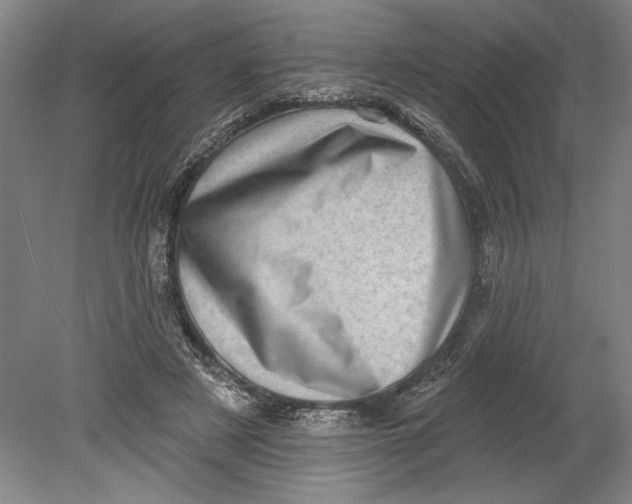 X0000080720497200701021058