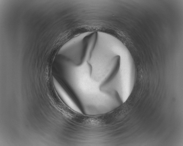 X0000080720498200701021058