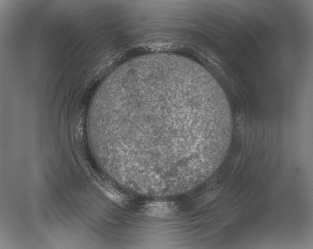 X0000080720499200701021058