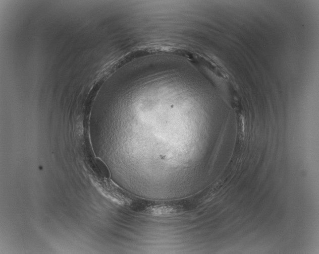 X0000080720500200701021058