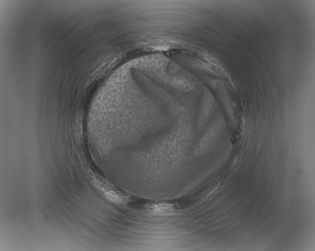 X0000080720501200701021058