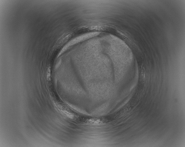 X0000080720502200701021058