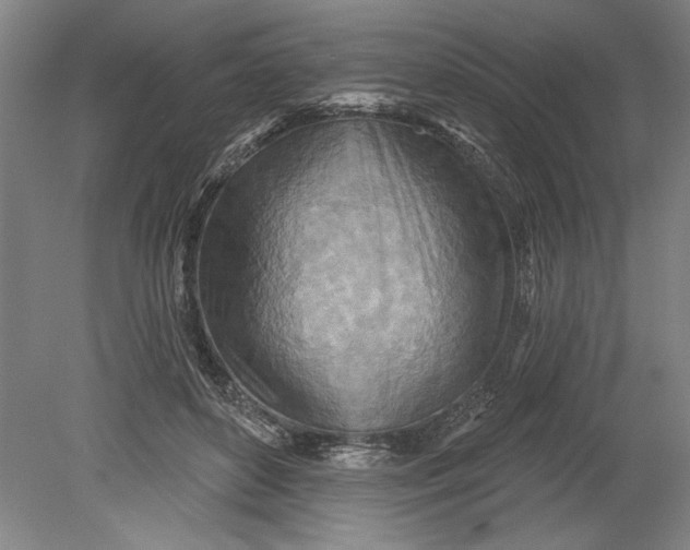 X0000080720504200701021058