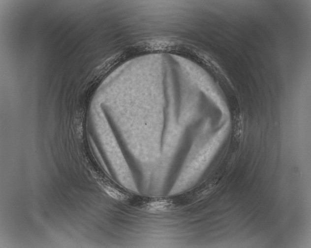 X0000080720505200701021058