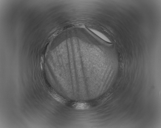 X0000080720507200701021058