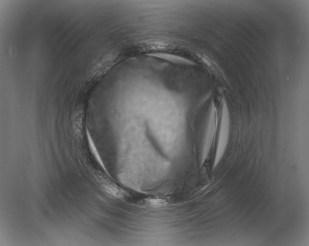 X0000080720509200701021058