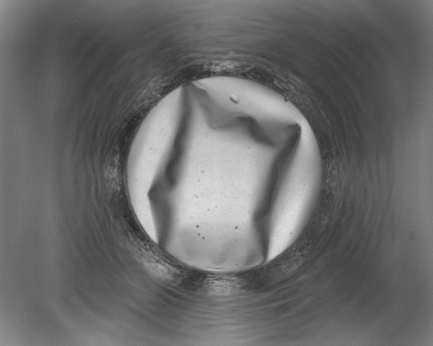 X0000080720510200701021058