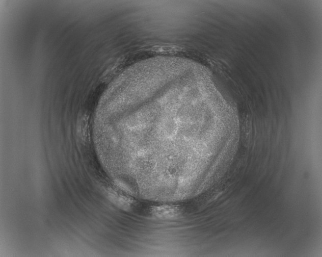 X0000080720511200701021058