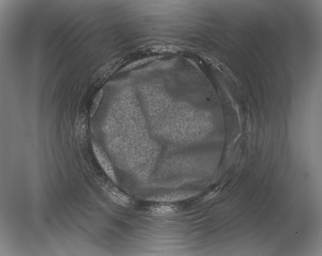 X0000080720513200701021057