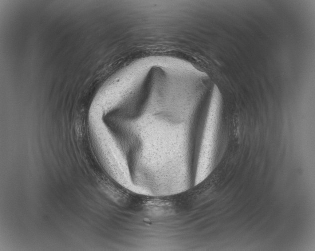 X0000080720515200701021057