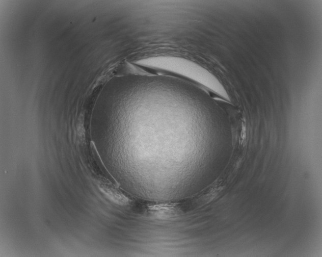 X0000080720516200701021057