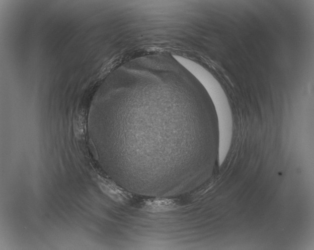 X0000080720517200701021057