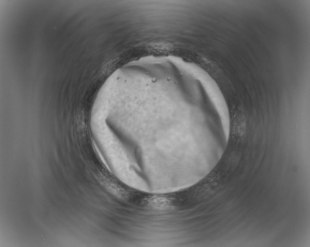 X0000080720518200701021057