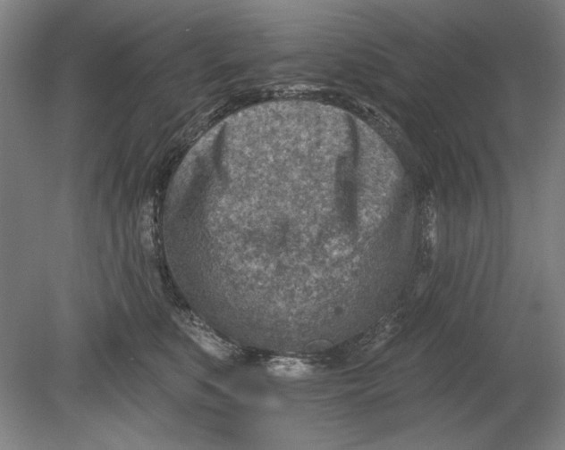 X0000080720519200701021057