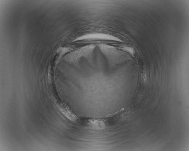 X0000080720520200701021057