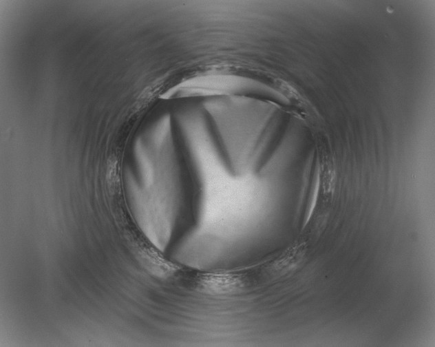 X0000080720521200701021057