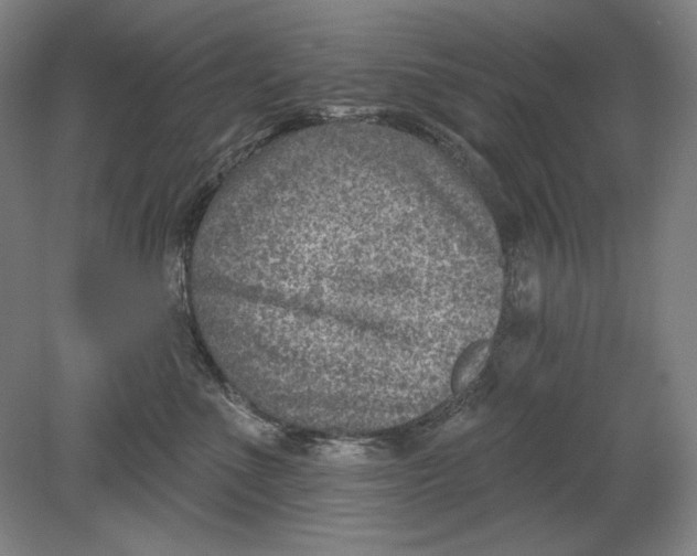 X0000080720523200701021057