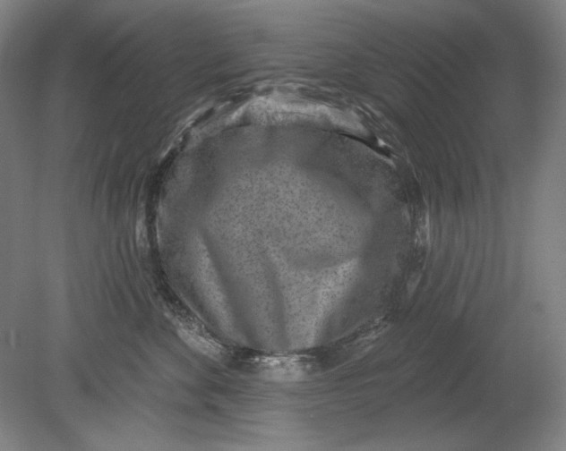 X0000080720524200701021057