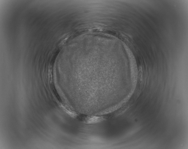 X0000080720527200701021057