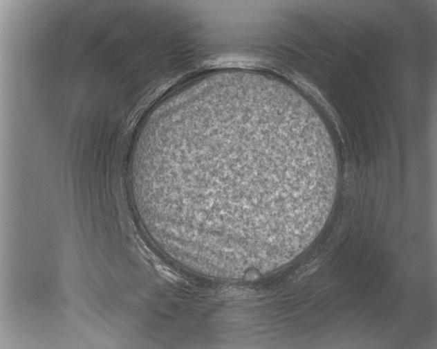 X0000080720529200701021056