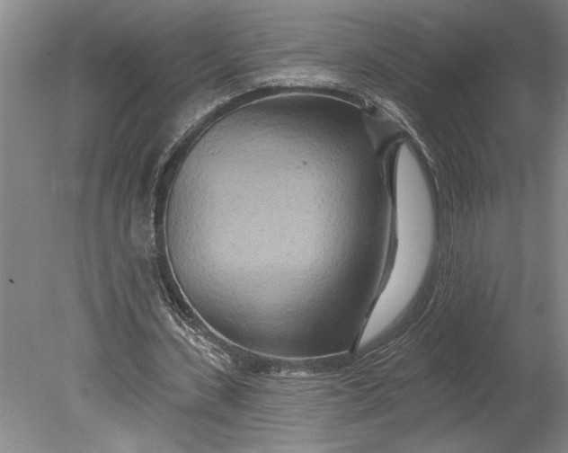 X0000080720531200701021056